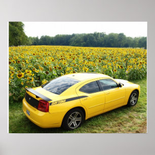 2006 Dodge Charger R/T Top Banana Poster