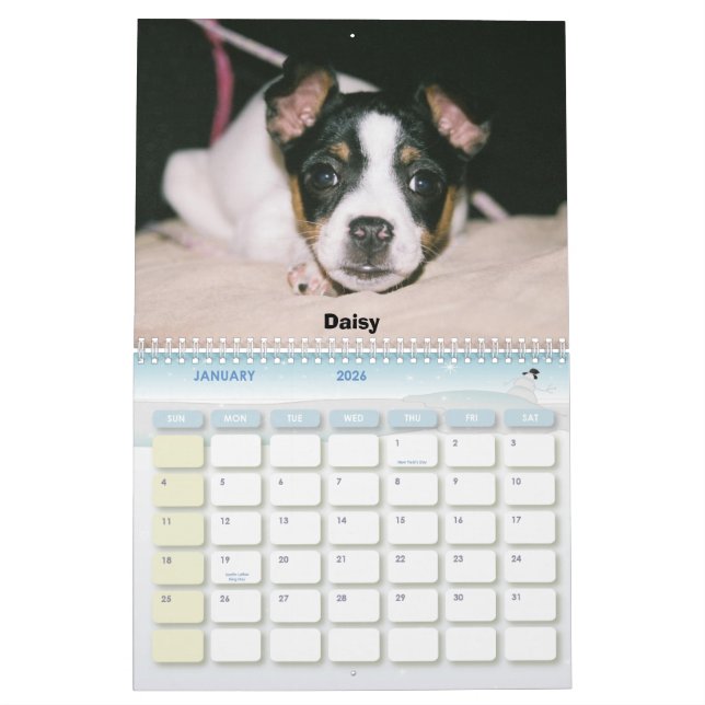 2007 Rat Terrier Calendar (Jan 2026)
