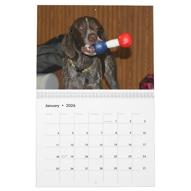 2008 Dog Calender Calendar (Jan 2026)