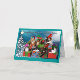 2008HolidayCardDraftStarTreeFlat Holiday Card