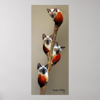 2008JulyShowPussyWillowToasty Poster