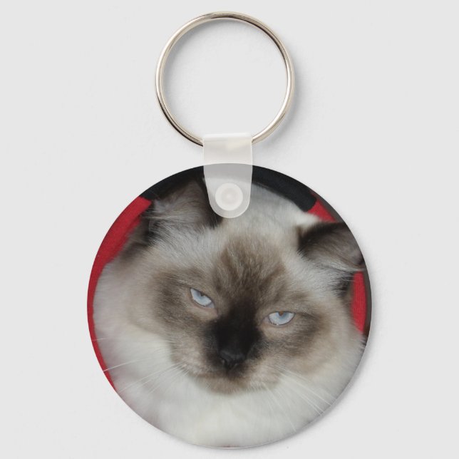 2009_12090051 KEY RING (Front)