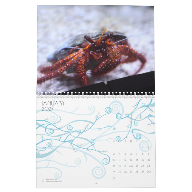 2009 ~ 2010 calendar (Jan 2027)