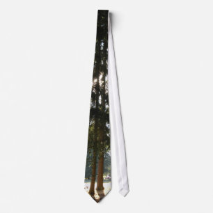 2009-7007 tie