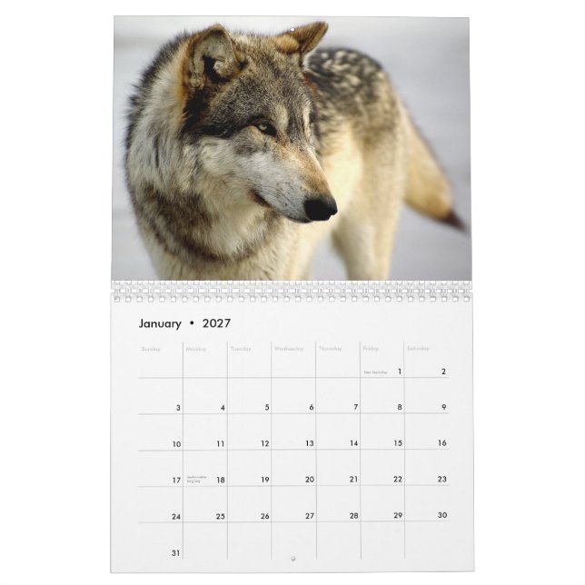 2009 Calendar (Jan 2027)