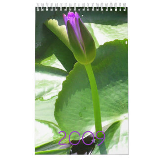 2009 Calendar