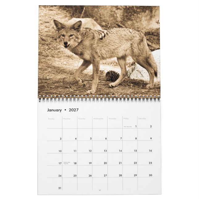 2009 Calendar (Jan 2027)