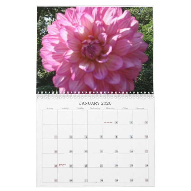 2009 Dahlia Calendar (Jan 2026)