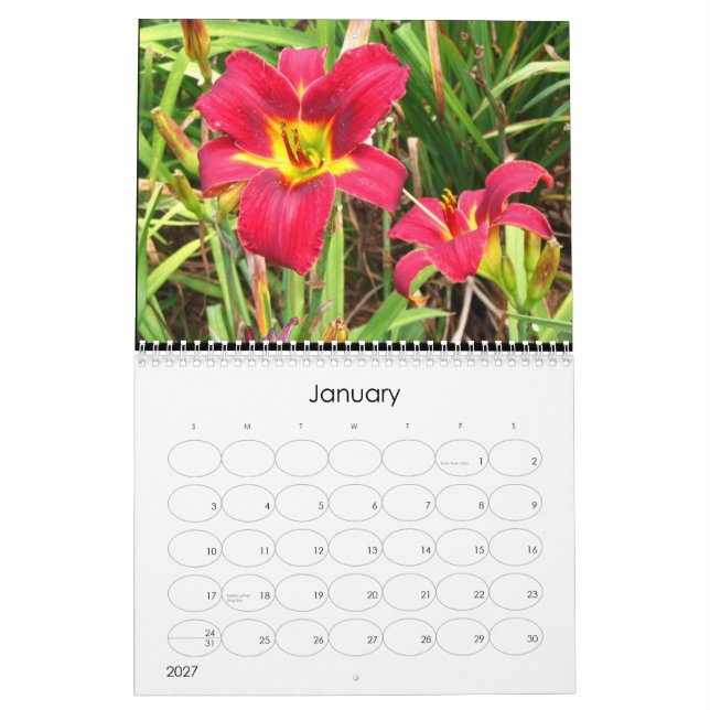 2009 Day Lily Calendar (Jan 2027)