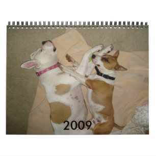 2009 Dog Calendar - Customised - C... - Customised