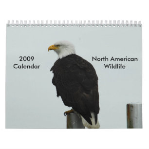 2009 North American Wildlife Calendar
