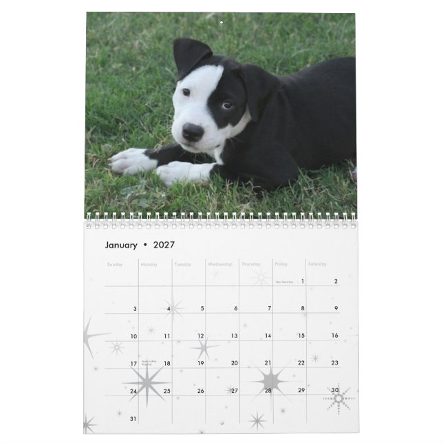 2009 Puppies Calender Calendar (Jan 2027)