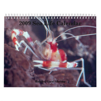 2009 Sea Life Calendar,... Calendar