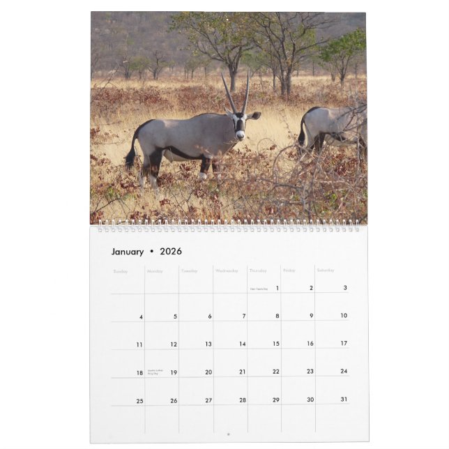 2009 Southern Africa Calendar (Jan 2026)