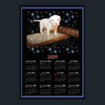 2009 Wall Poster Calendar of Luna<br><div class="desc">Have me around year round with this 2009 wall calendar poster. May it be a star filled year!</div>