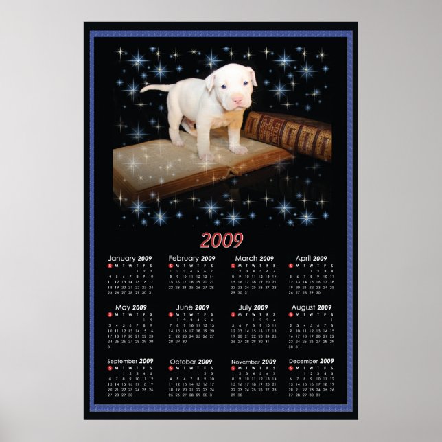 2009 Wall Poster Calendar of Luna (Front)