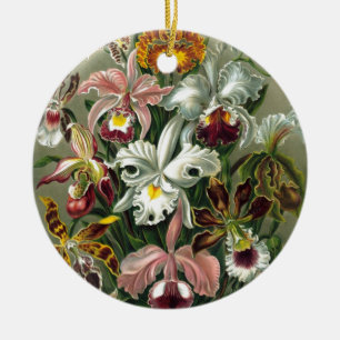 20101126181226!Haeckel_Orchidae.jpg Ceramic Tree Decoration