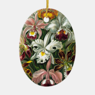 20101126181226!Haeckel_Orchidae.jpg Ceramic Tree Decoration