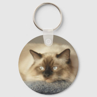 2010_04240003 KEY RING