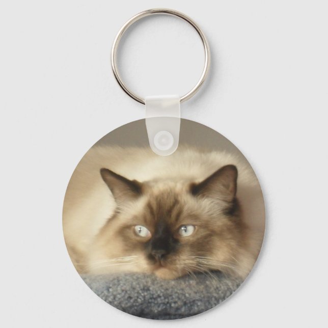 2010_04240003 KEY RING (Front)