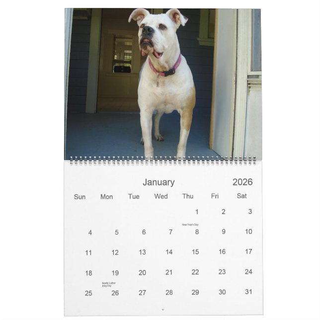 2010 American Bulldog Calendar (Jan 2026)