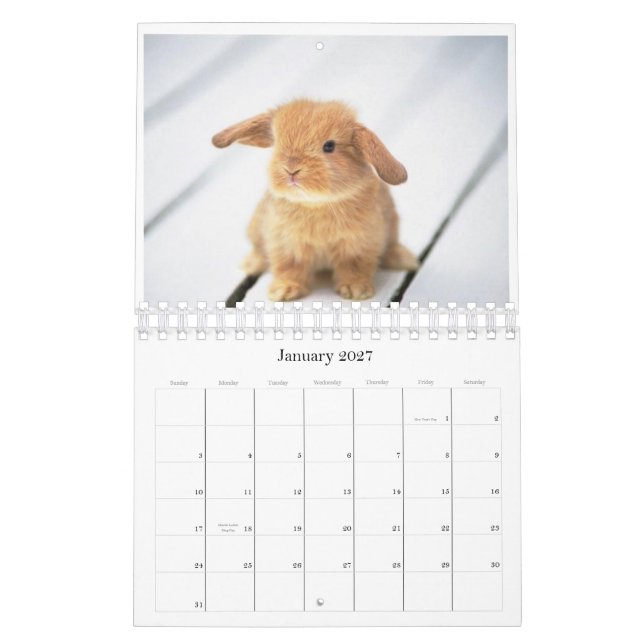 2010 animal calendar (Jan 2027)