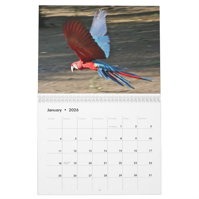 2010 Calendar, Birds of Brazil Calendar (Jan 2026)