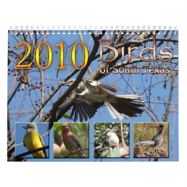 2010 Calendar Birds of South Texas (Cover)