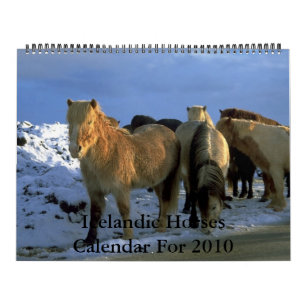 2010 Calendar Icelandic Horses Theme