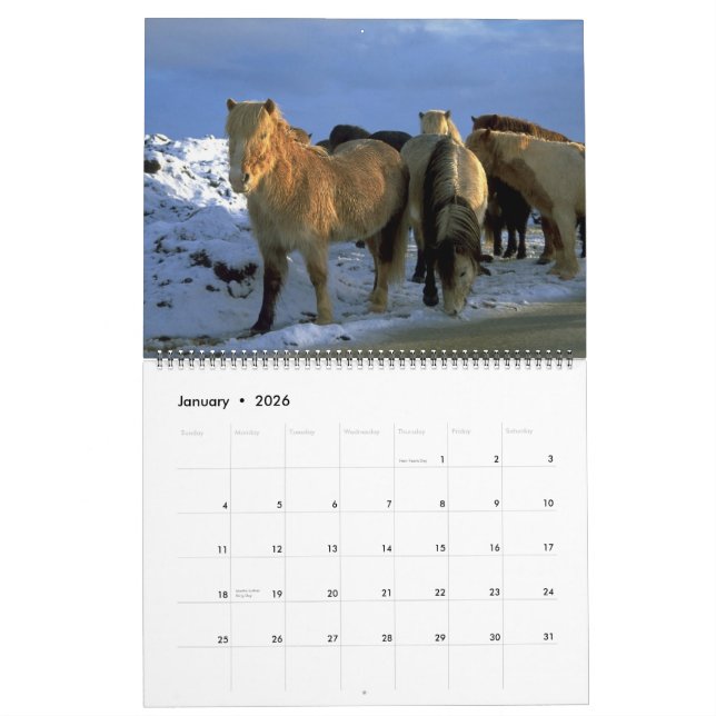 2010 Calendar Icelandic Horses Theme (Jan 2026)