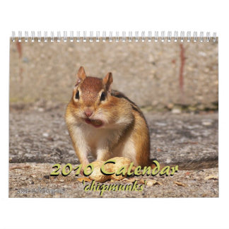 2010 Chipmunk Calendar