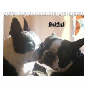2010-Cover, 2010 Calendar
