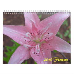 2010 Flowers Calendar