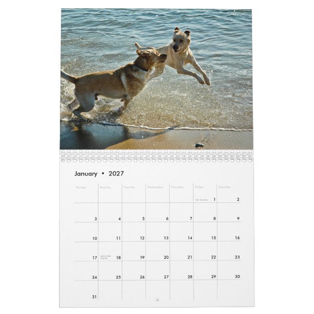 2010 Oceandoggy Calendar (Jan 2027)