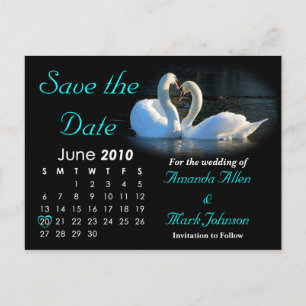 2010 Save the Date, Wedding Announcement Postcard