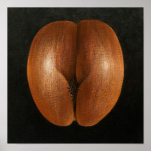 2010 Sea Coco Poster