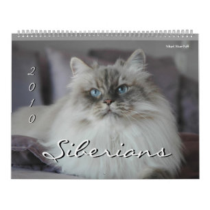 2010 Siberians Cats & Kittens Calendar 3