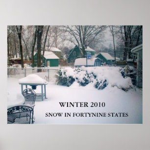 2010, SNOW IN FORTYNINE STATES poster