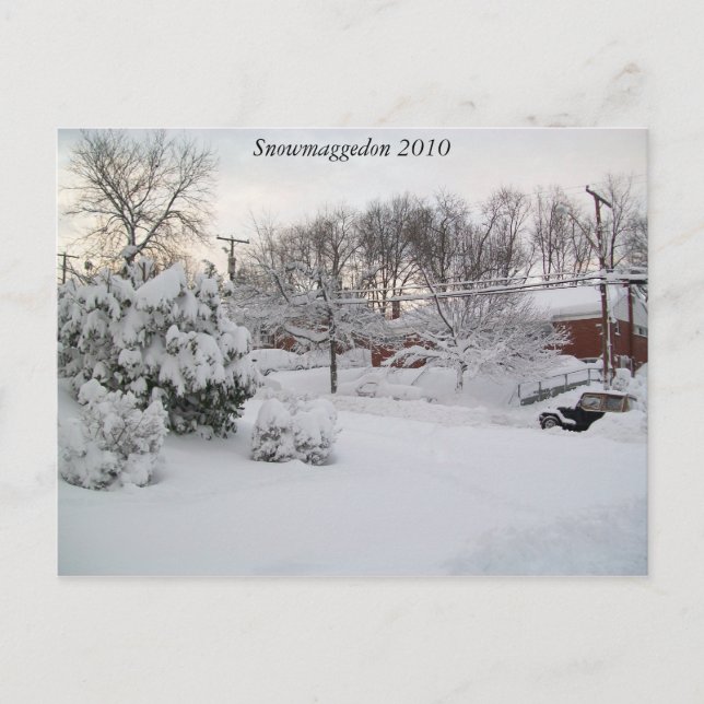 2010 Snowmaggedon Postcard (Front)
