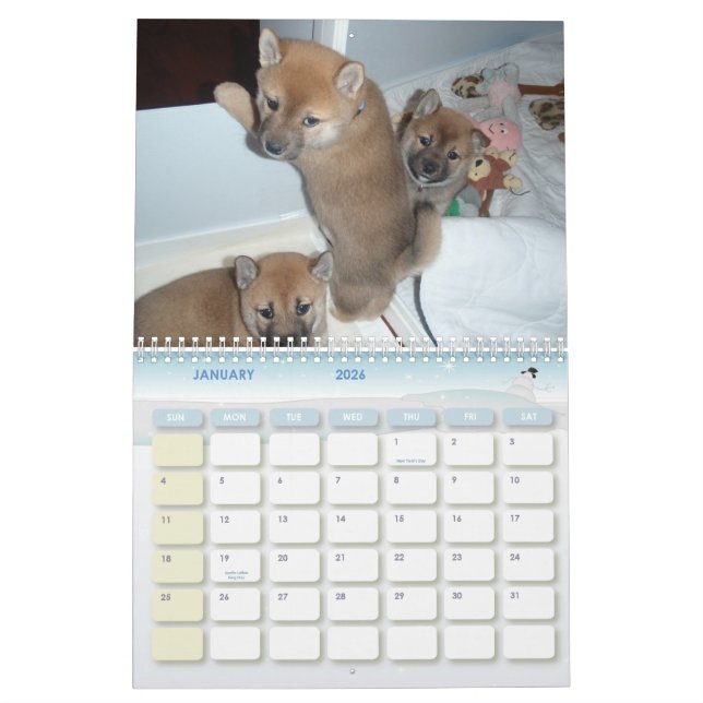 2010 The Year of the Shiba Calendar (Jan 2026)