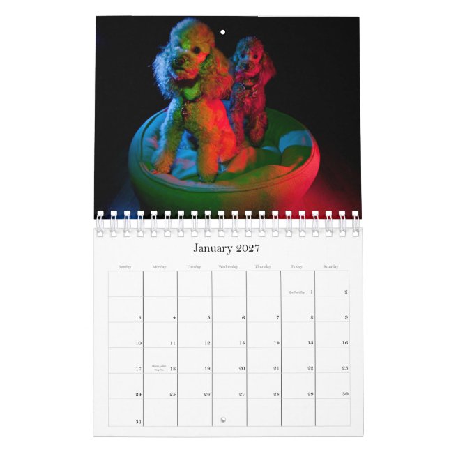 2010 Toy Poodle Calendar (Jan 2027)