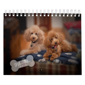 2010 Toy Poodle Calendar