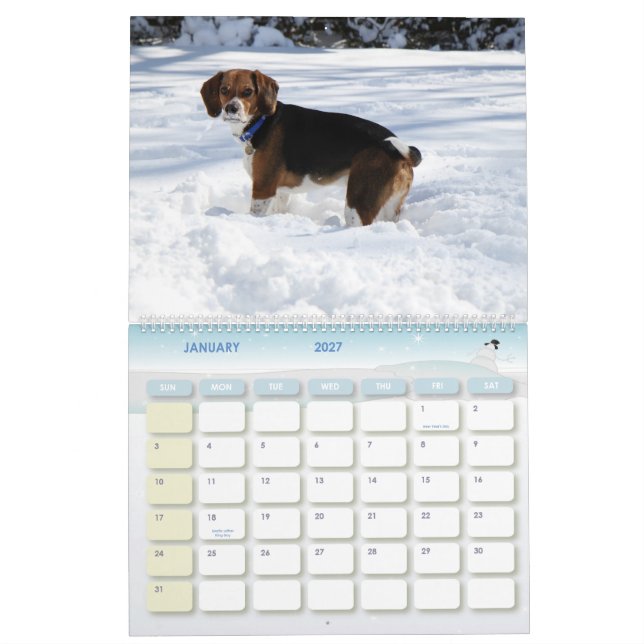 2011 Beagle Calendar (Jan 2027)