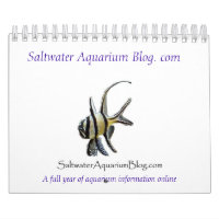 2011 Calendar