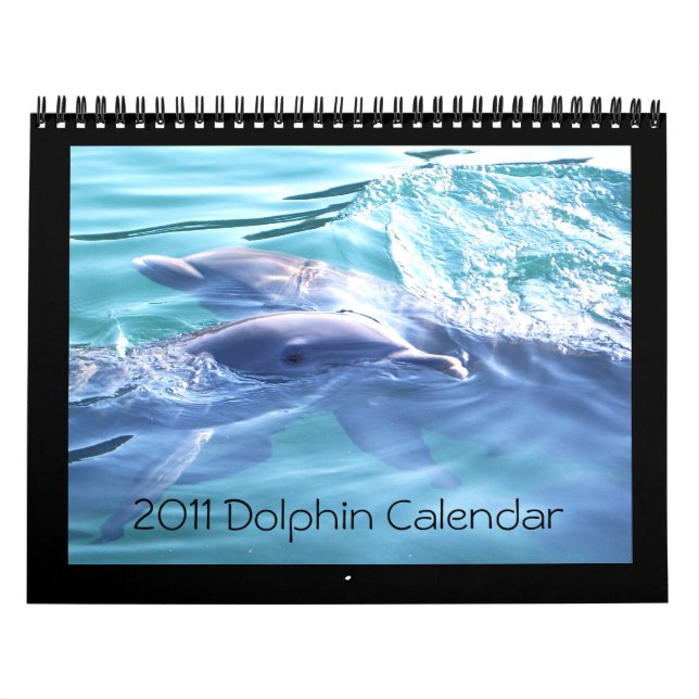 2011 Calendar Dolphin Photography (Cover)