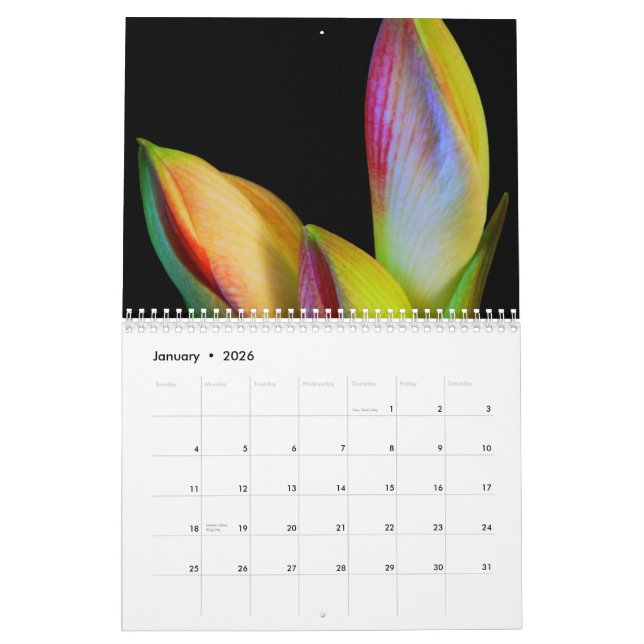 2011 Calendar - Flowers (Jan 2026)