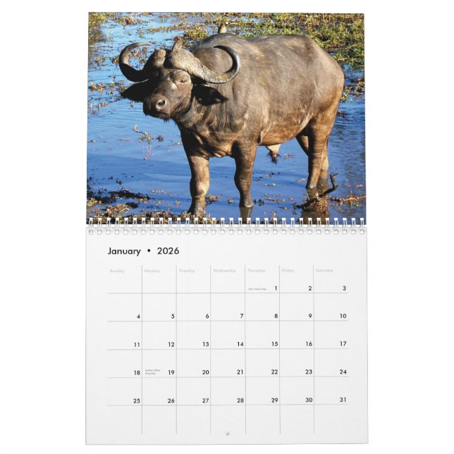 2011 Calendars - Free Spirits (Jan 2026)