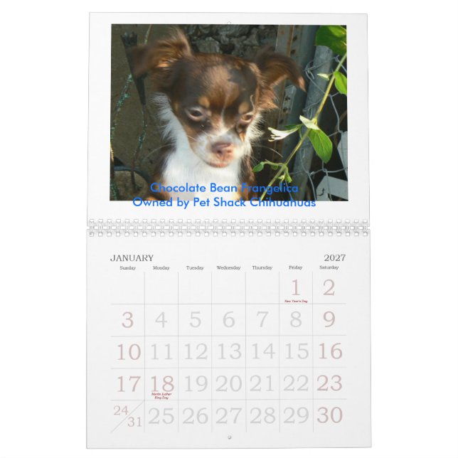 2011 Chihuahua Calander Calendar (Jan 2027)