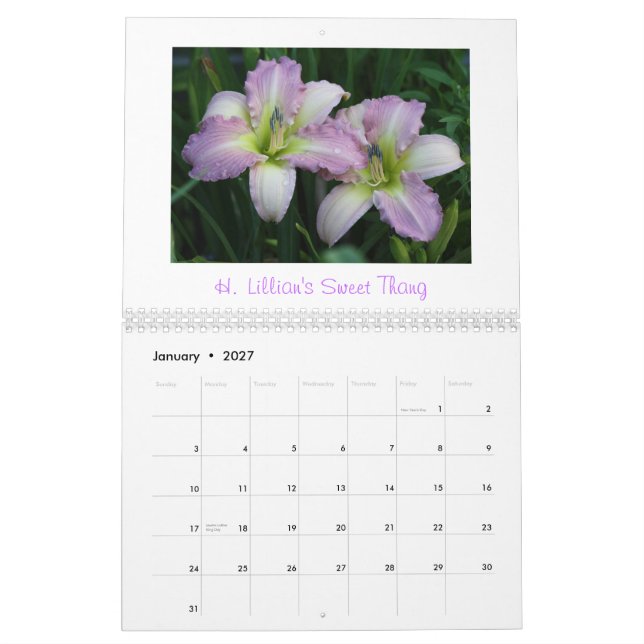2011 Daylily Calendar            ... (Jan 2027)