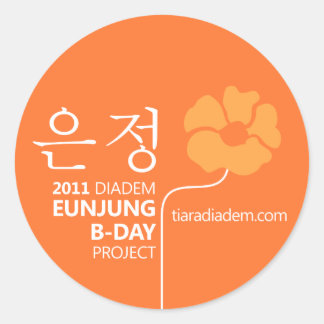 2011 Eunjung Birthday Sticker